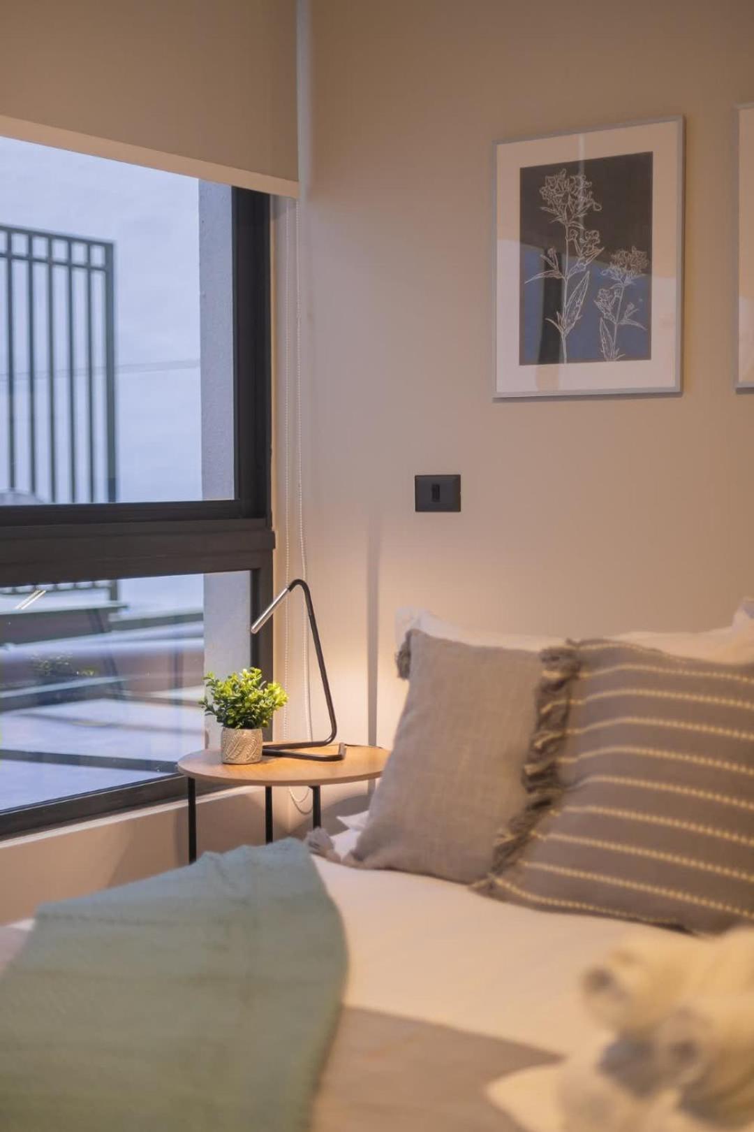 Explore The From Our Apartamento